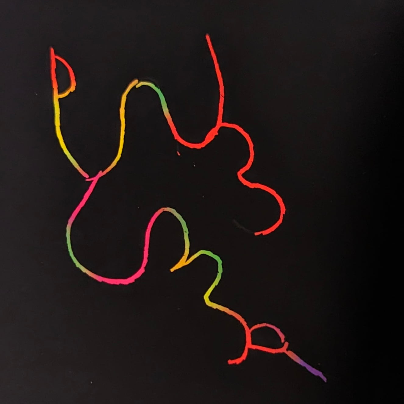 Daily Sigil for January 24, 2024